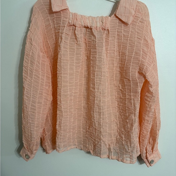 Baby Peachy Pink Tweed Ruffles
Scrunched Diamond Button Down
Size XLarge - Picture 4 of 6